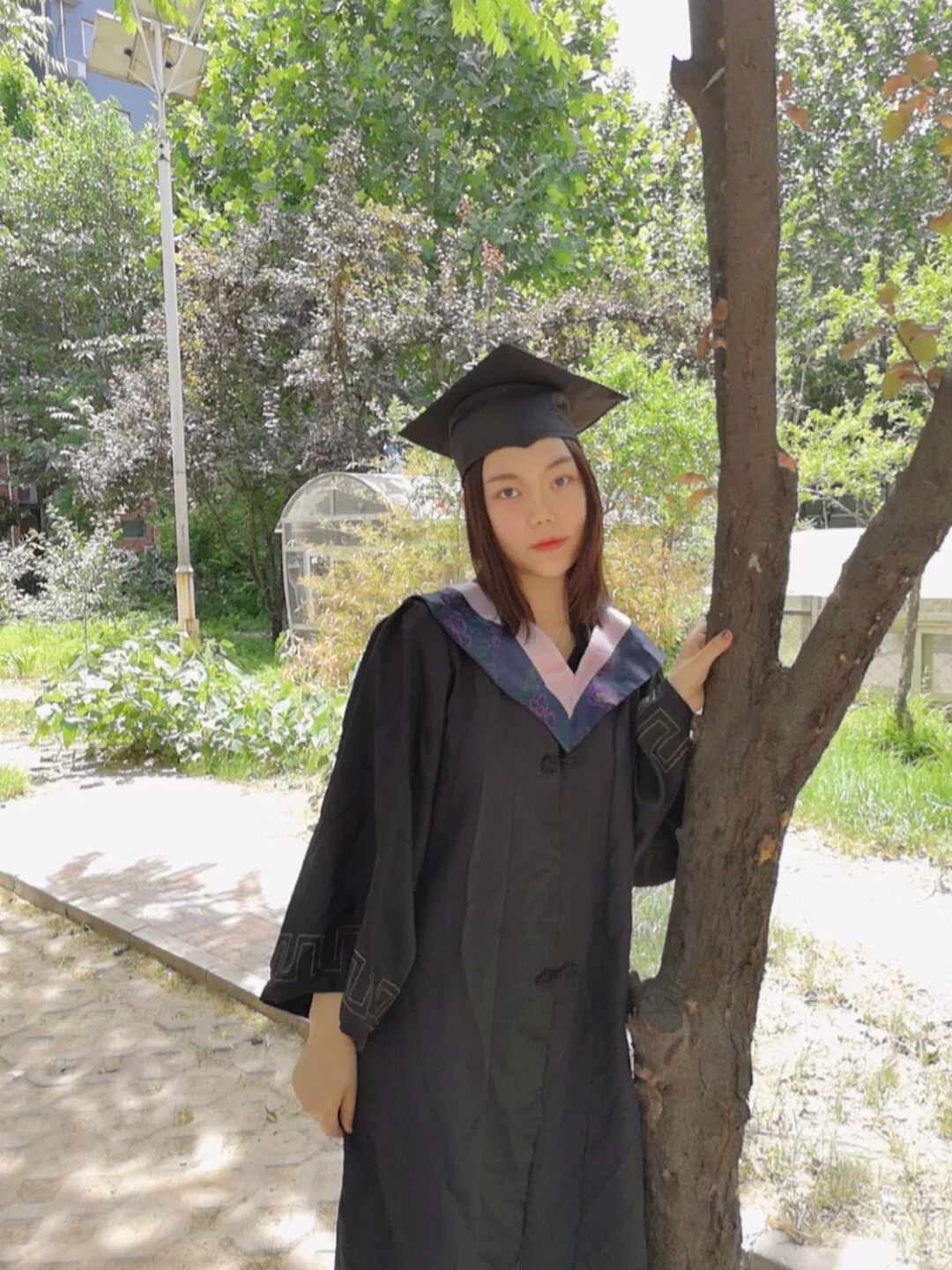 考研荣耀榜,考研荣耀榜视频合集