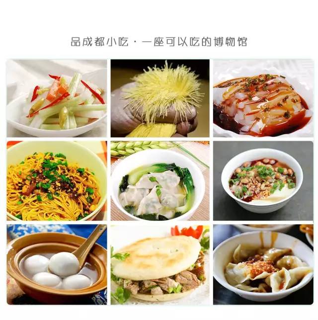 都江堰熊猫谷铲屎官报名,成都大熊猫铲屎官志愿者活动