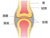 天天补钙对身体有什么好处,骨质疏松如何有效的补钙