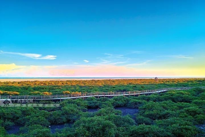 行遍天下广西美景,广西最美的风景打卡地