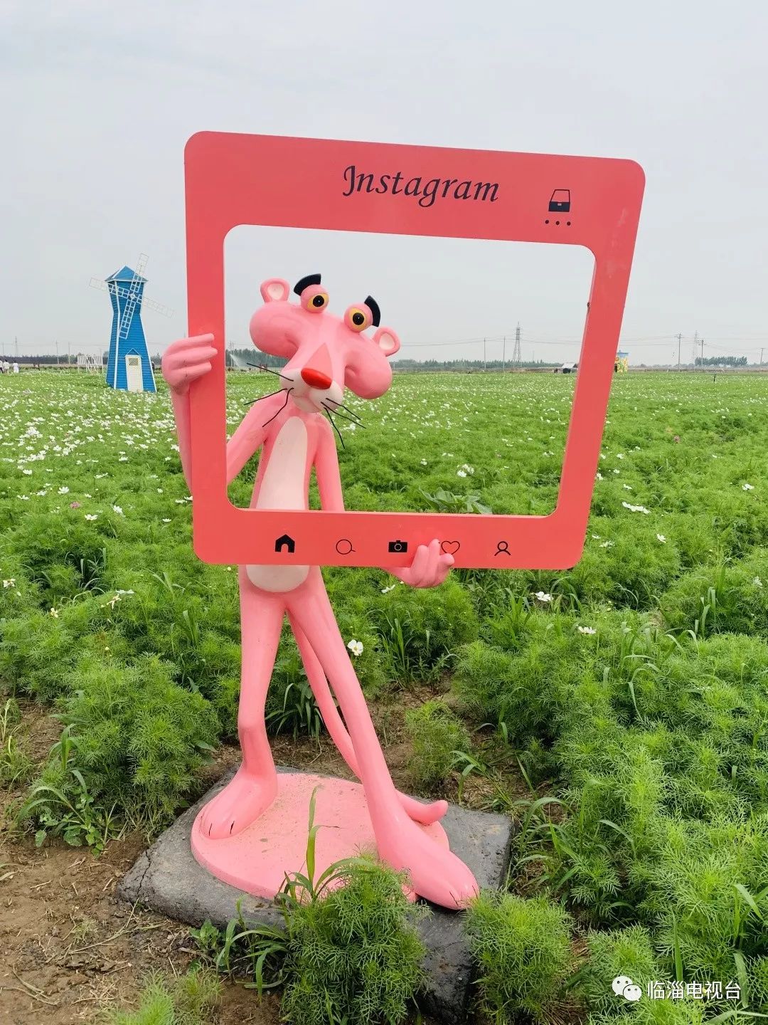 临淄花海公园在哪里,淄博临淄花海攻略