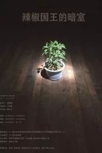 6月西安有什么大型活动,6月西安游玩活动