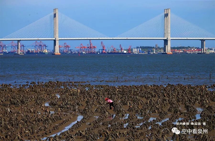 对不起，东海就是这么美