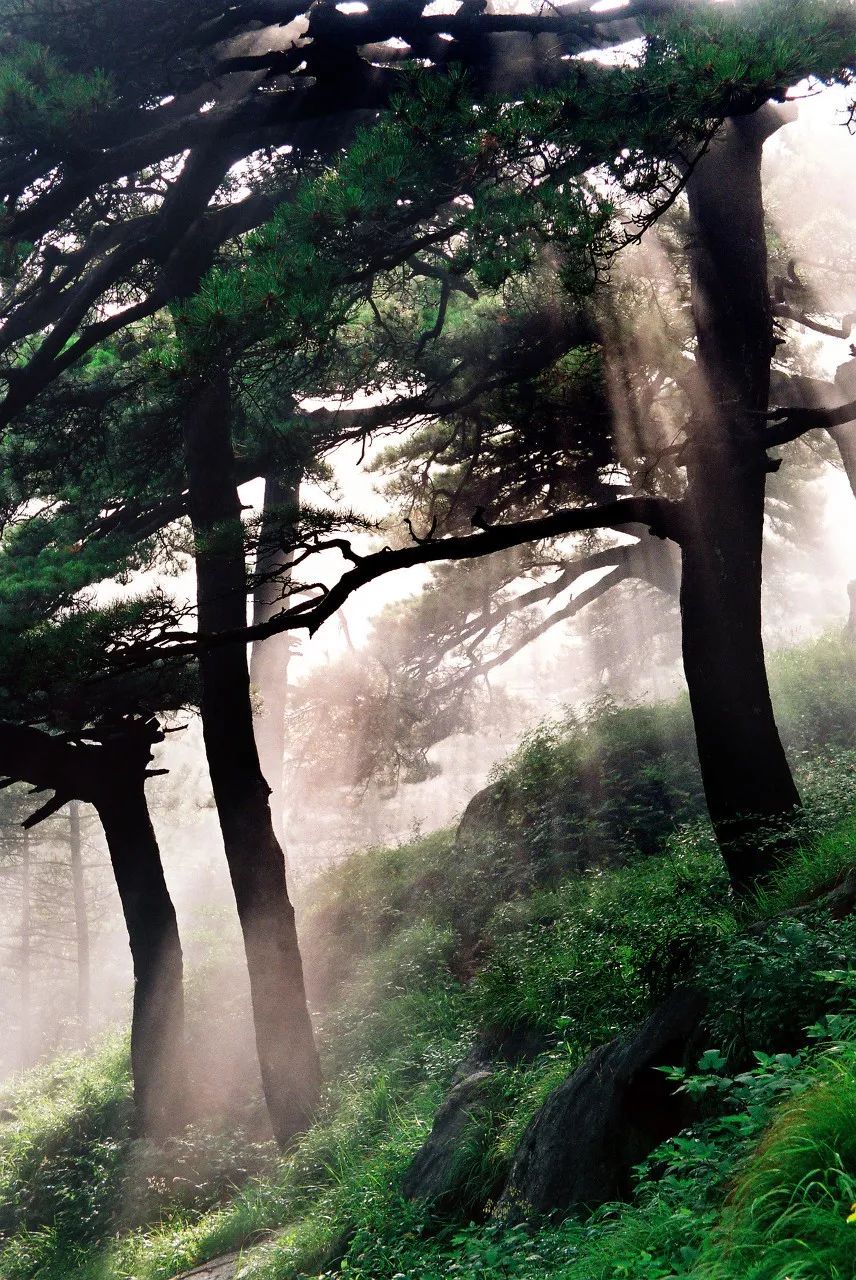 一个人说走就走旅行清单,一个人的旅行清单不用等最爱的人