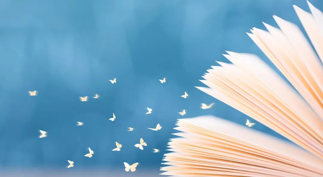 金安区初中学校学区划片图,金安区初中部片区划分