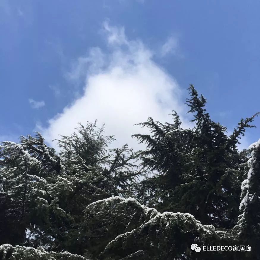 收拾行李只需要十分钟,10分钟收拾东西