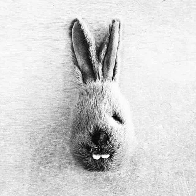 收拾行李只需要十分钟,10分钟收拾东西