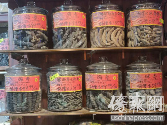墨西哥海参一斤多少钱,墨西哥海参最新消息