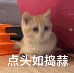 南京品质家居消费节,南京生活消费节