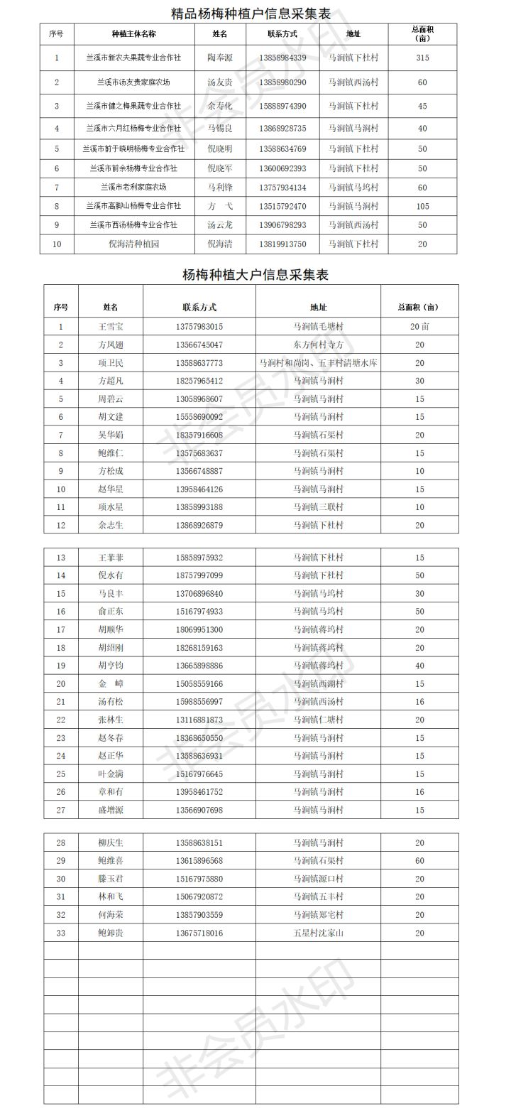 兰溪东魁杨梅采摘时间,兰溪杨梅红了