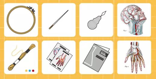 我就不信，只有我一个人想试试人体解剖丨好物推荐