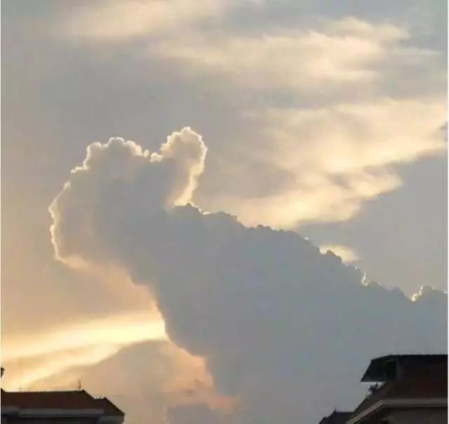 今天，请为增城7106名高考生扩散这条消息......