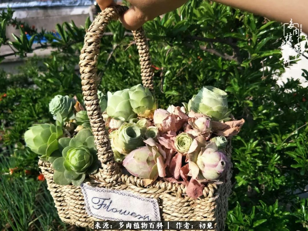 紧张焦虑高考,高考紧张时刻有你陪伴