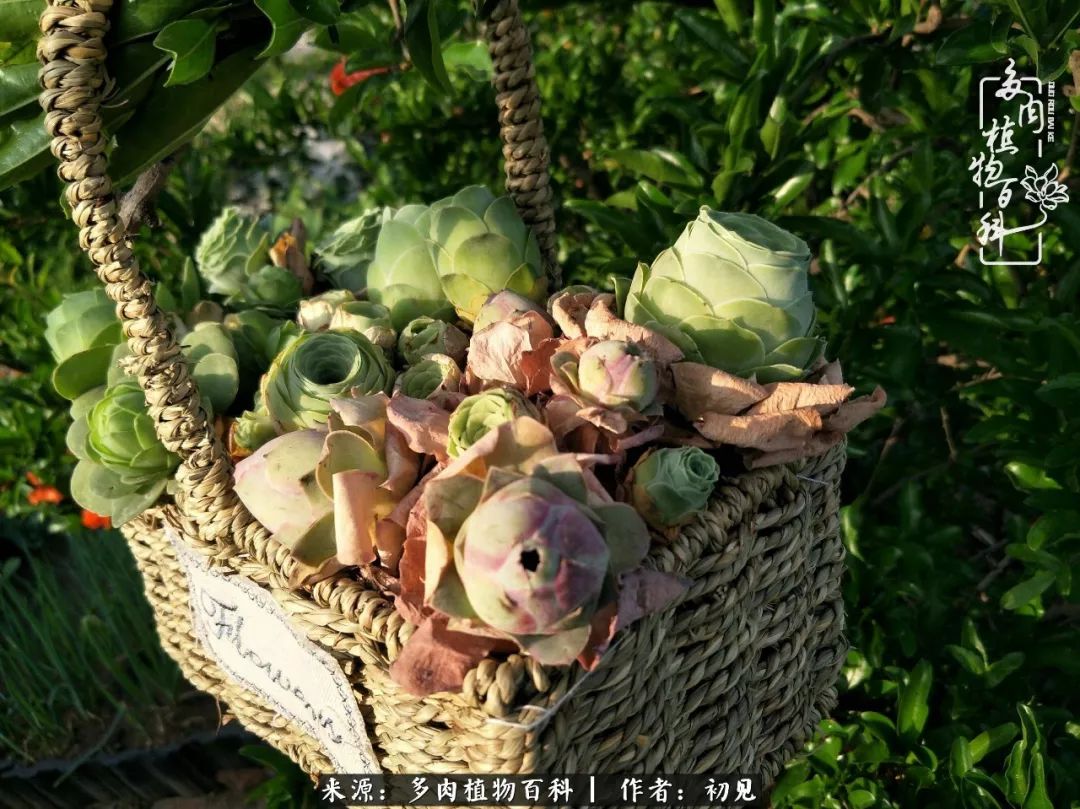 紧张焦虑高考,高考紧张时刻有你陪伴