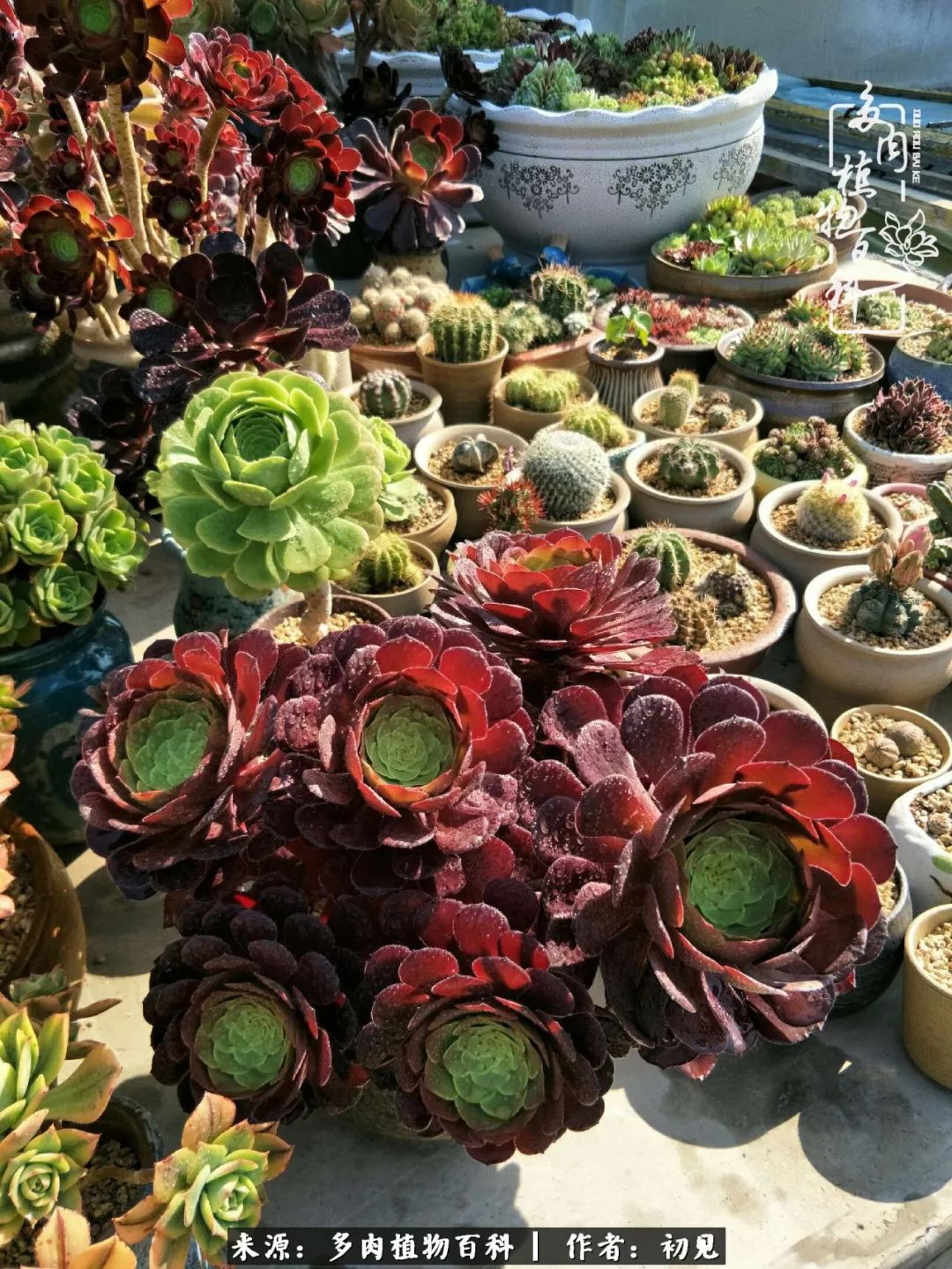 紧张焦虑高考,高考紧张时刻有你陪伴