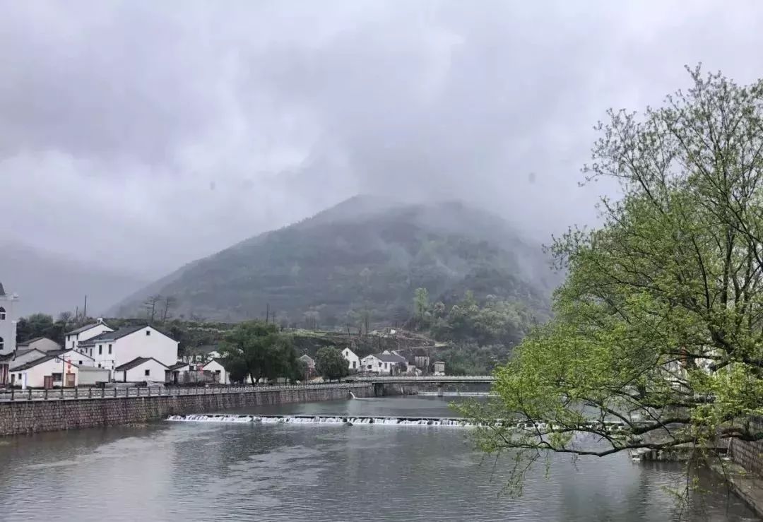 宁波中医院体检报告,宁波新诚体检报告查询