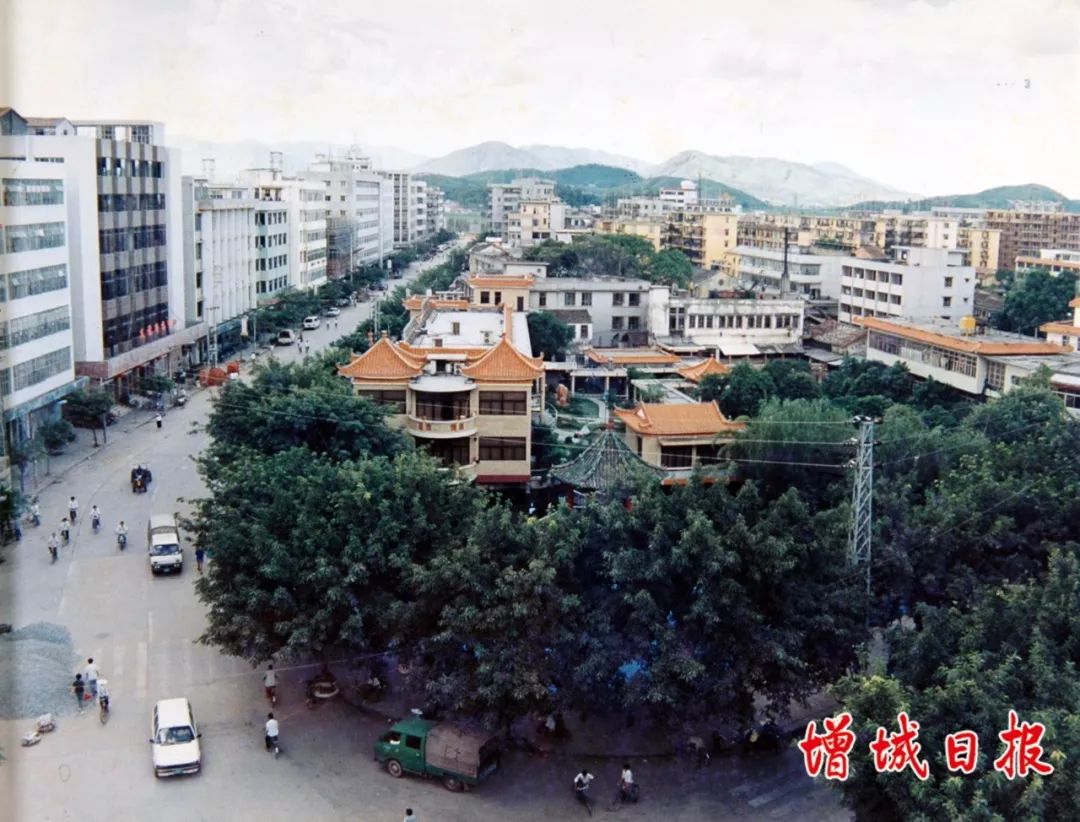 60张照片回忆成长,60多张老照片的回忆