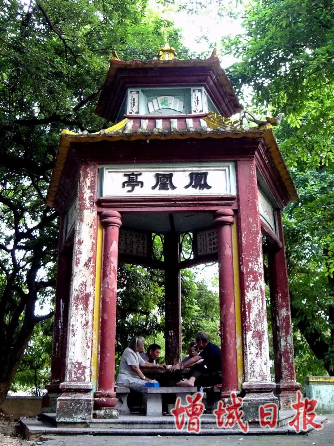 60张照片回忆成长,60多张老照片的回忆