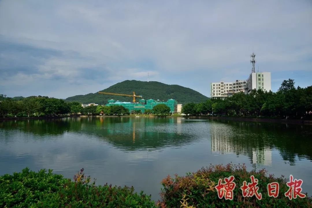 60张照片回忆成长,60多张老照片的回忆