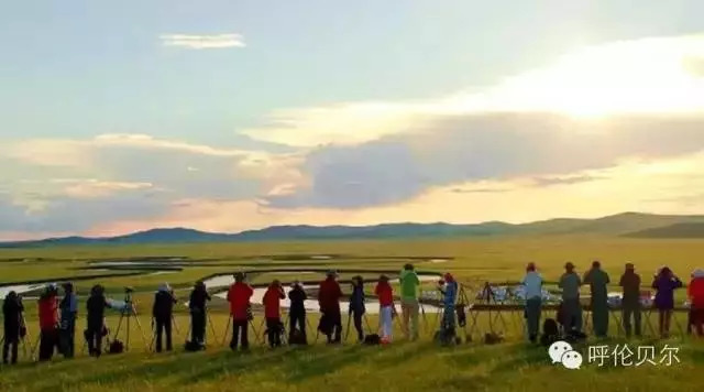 呼伦贝尔牙克石十大旅游景点,呼伦贝尔大草原收藏