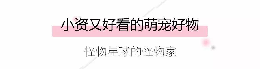 618必买单品有哪些 (618网店有哪些)