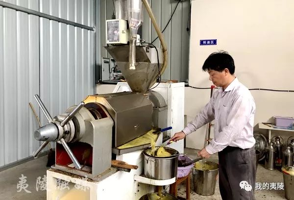 返乡创业开工厂,返乡创业开榨油坊