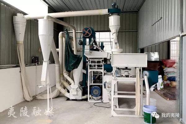 返乡创业开工厂,返乡创业开榨油坊