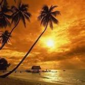 华星创业股吧,华星创业股吧千股千评