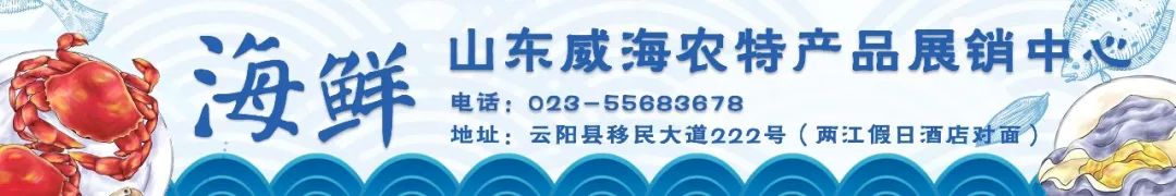 紫金小学师资,紫金小学报名条件