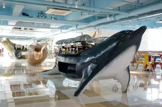 毕业季赶海,毕业季福利专场