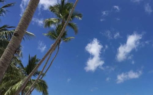 1973属牛生于农历6月,属牛农历六月出生的人怎么样