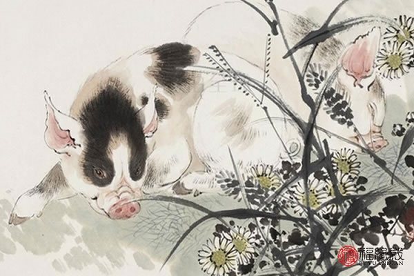 71年属猪到了54岁好运咋样了,71年属猪的人晚年命怎么样