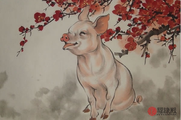 71年属猪到了54岁好运咋样了,71年属猪的人晚年命怎么样