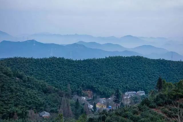 江浙沪适合度假的酒店,江浙沪周边度假酒店亲子游