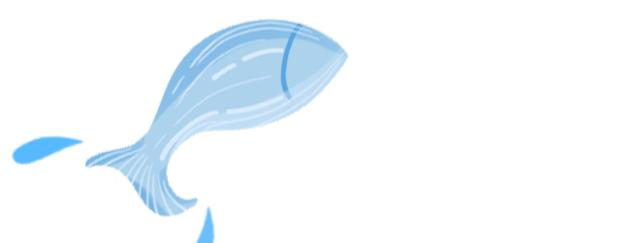 蛋禽养殖前景怎样,蛋种鸡行业