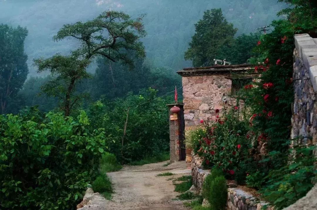 周末去玩安静舒适的地方,周末愉快最新好玩的地方