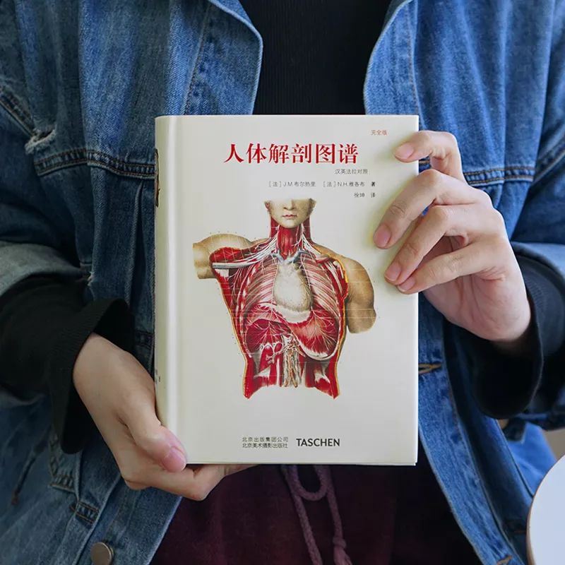 我就不信，只有我一个人想试试人体解剖丨好物推荐