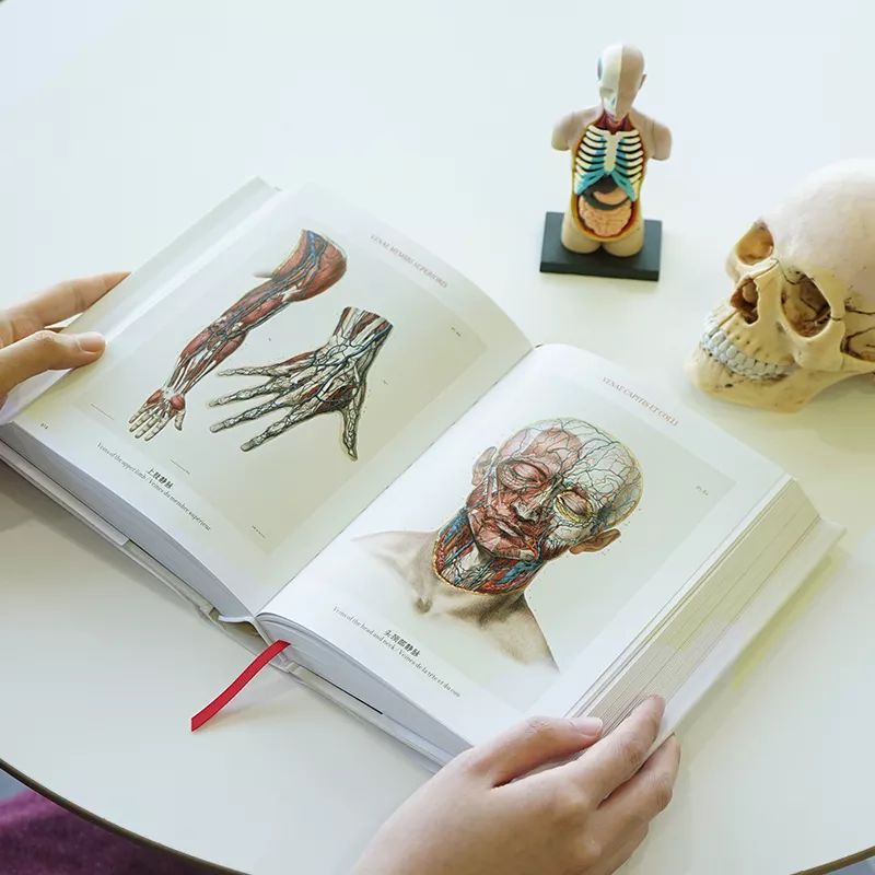 我就不信，只有我一个人想试试人体解剖丨好物推荐