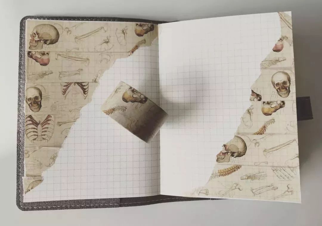 我就不信，只有我一个人想试试人体解剖丨好物推荐