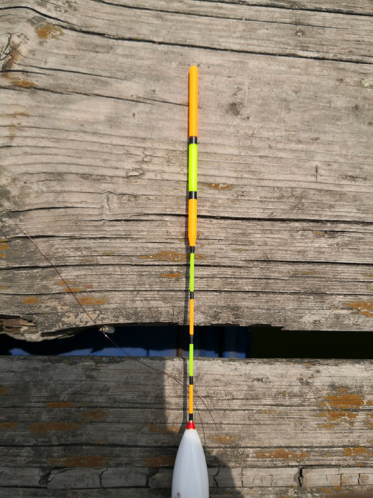 天盛湖垂钓鲢鳙,天盛垂钓园钓鱼