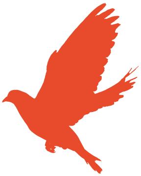 不一样的国庆献礼，福州警宝画出对祖国的爱