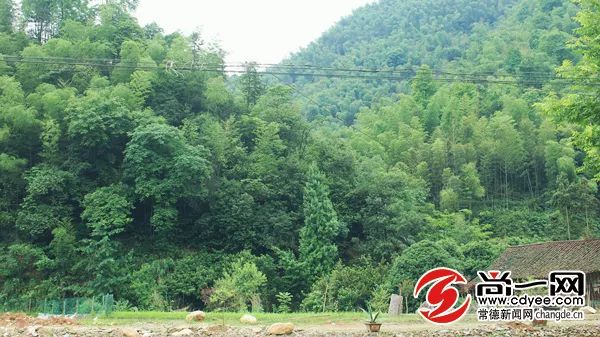 天然氧吧打卡！常德这个公园竟藏着宫崎骏的夏天，美到窒息...