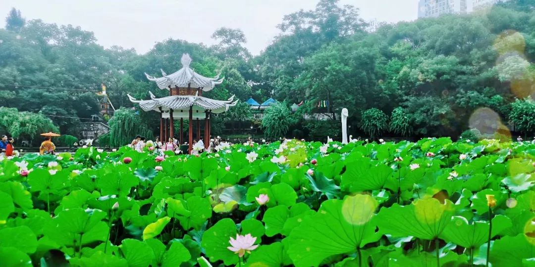 中国城市竞争力最新排名！宜昌表现亮眼！一起来看→