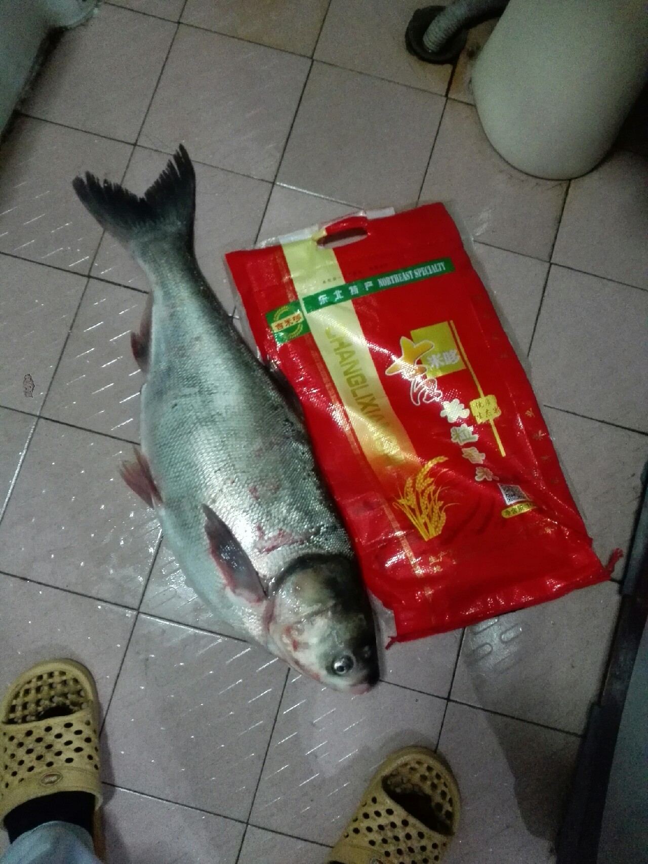 汉江涨水了,汉江涨水农田受淹