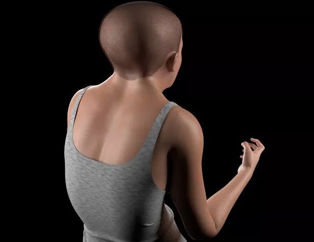 人类从远古进化到现在的照片,人类从猿人进化到现在多少年