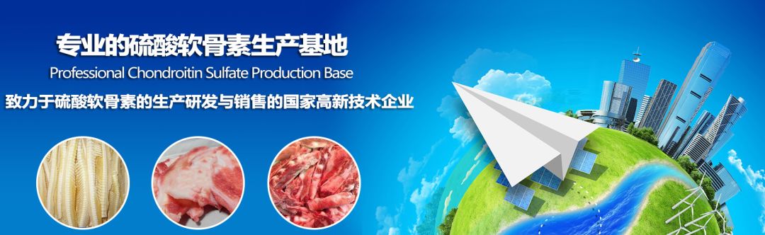 让爱回家温情,综艺片让爱回家