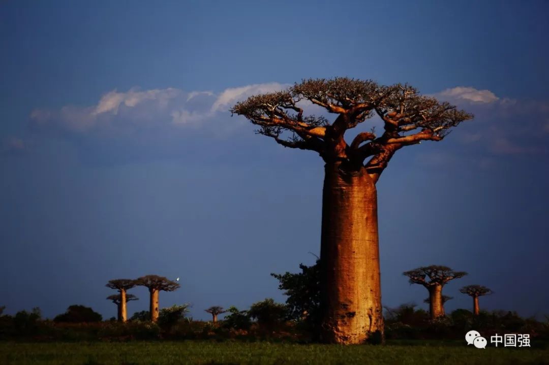 马达加斯加不可思议的旅行,马达加斯加自然景观