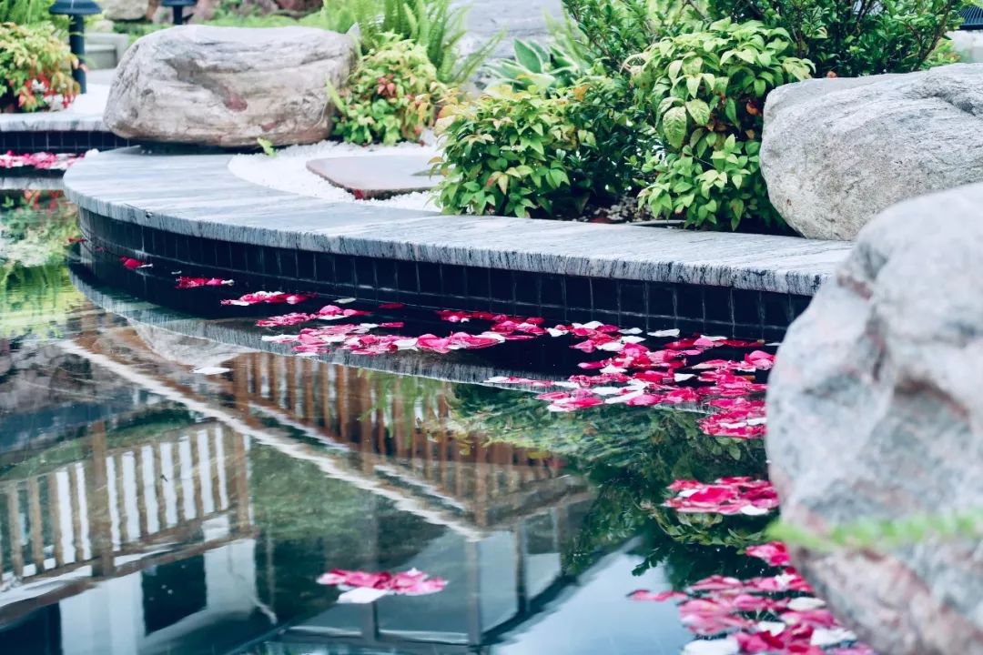 又挖到个21℃的清凉山城，还藏着人均¥300+就能入住的浙南“小星野”，仅限200套