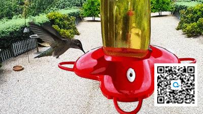 看高岛屋谢幕：数学与美学的徘徊