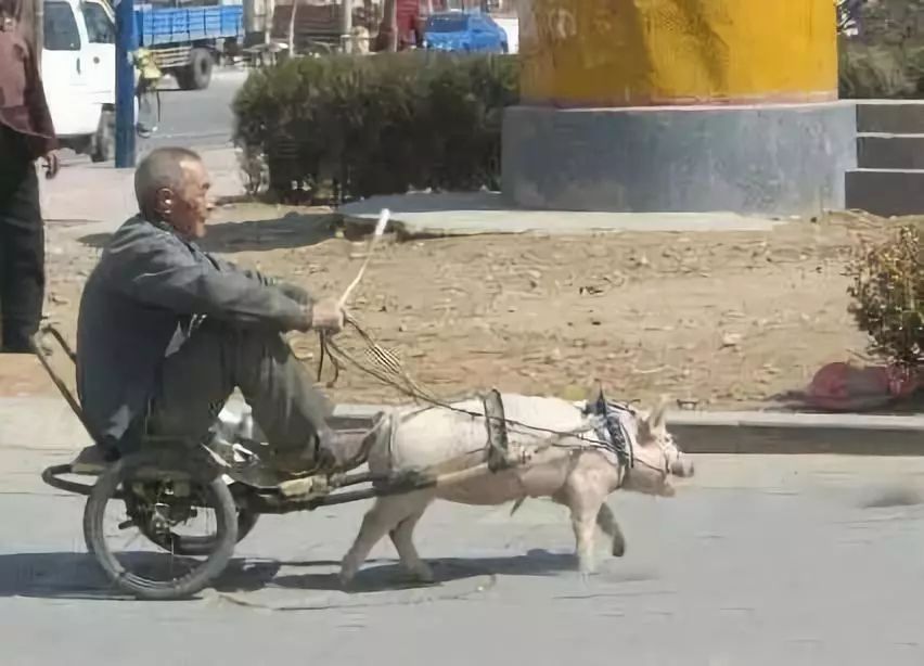 最奇怪搞笑的车,世界上又搞笑又可怕的汽车